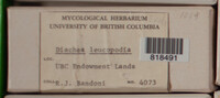 Image Associated With the Occurence